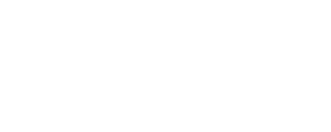 Ethox Security logo